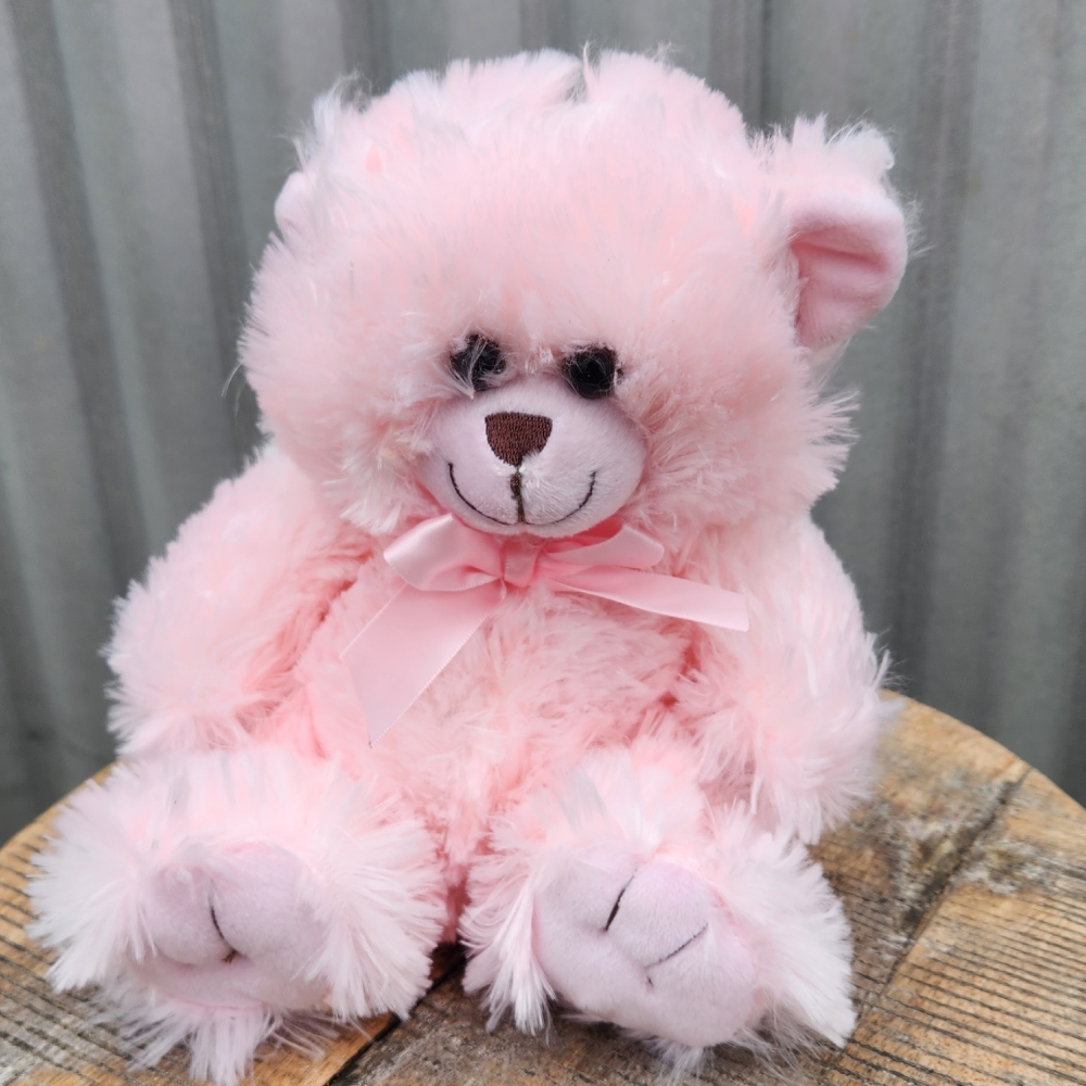 Neutral Colour Teddy