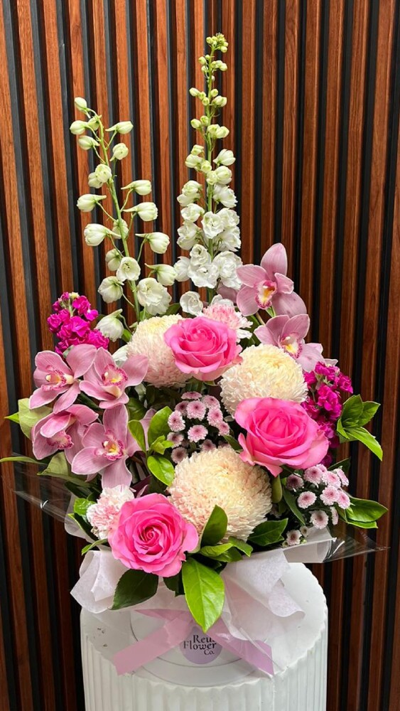 Orchid Dreams