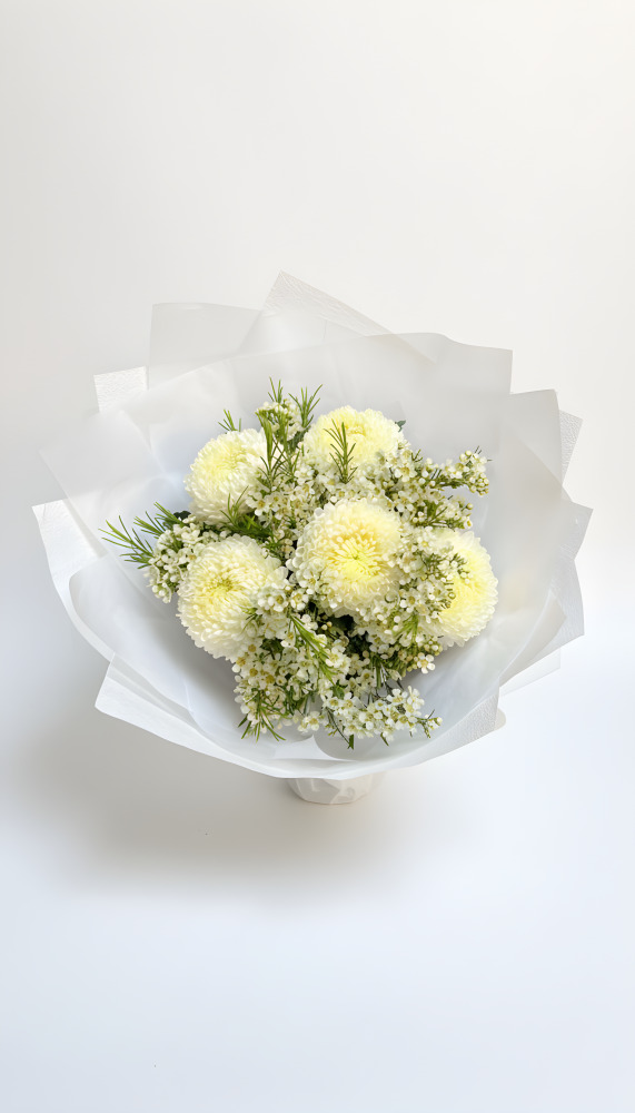 Sweet Disbud Mums