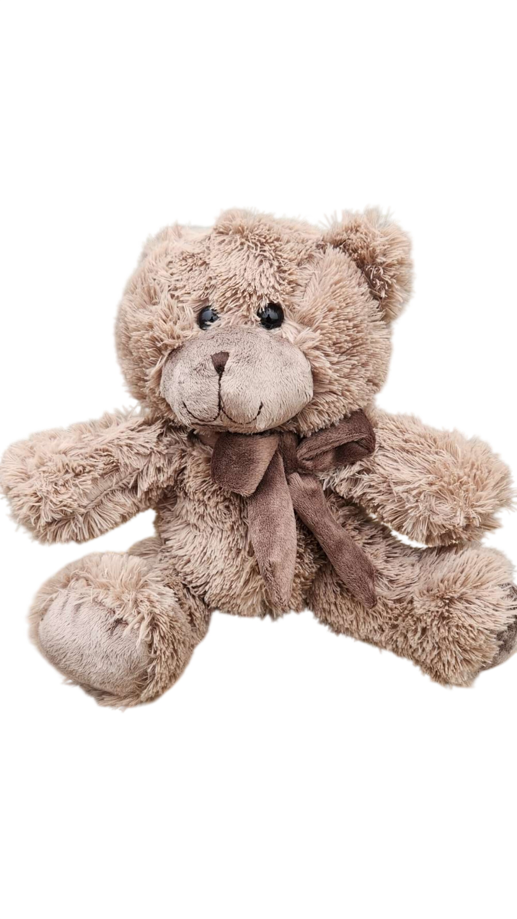 Neutral Colour Teddy