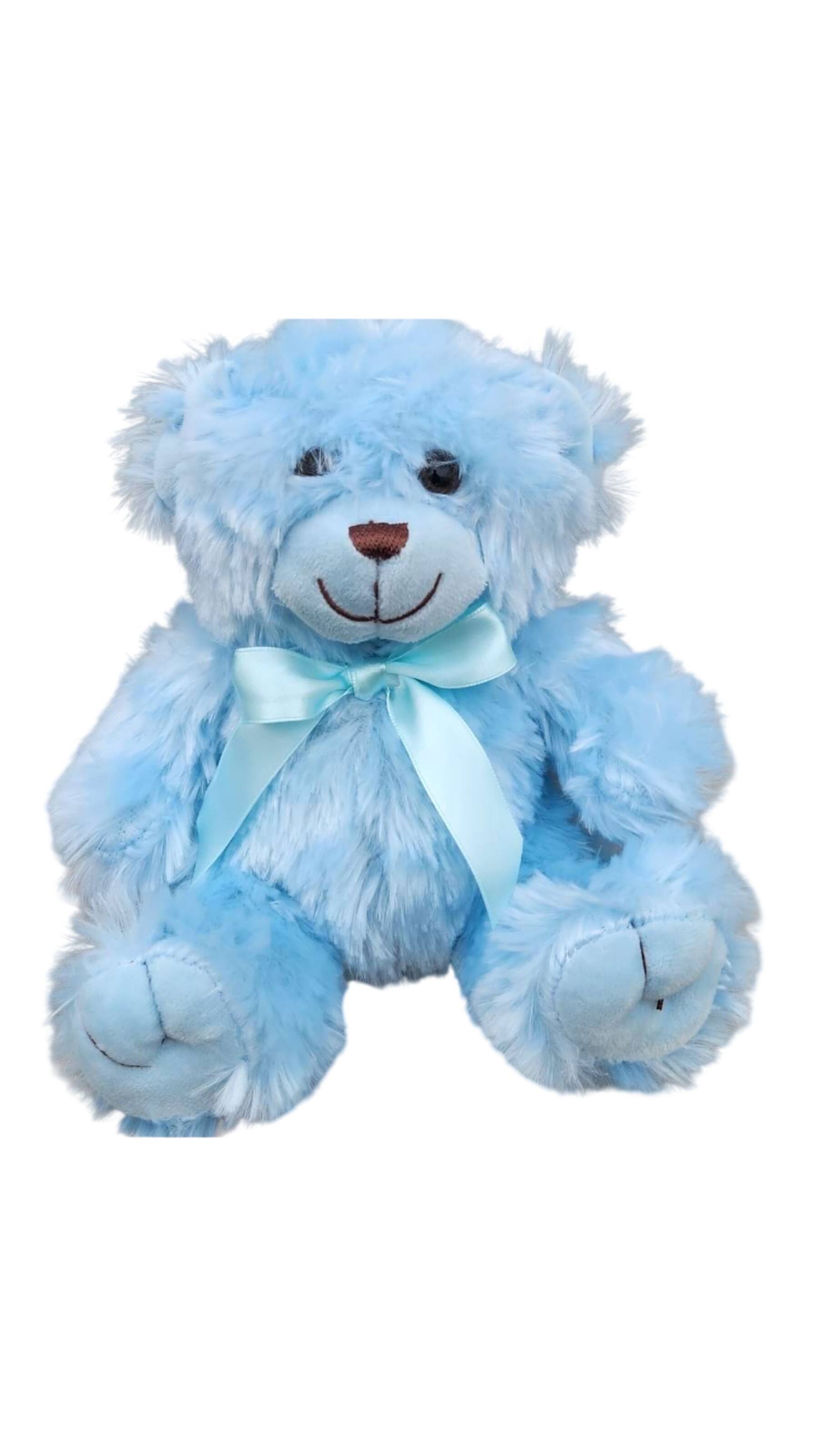 Blue Teddy Bear