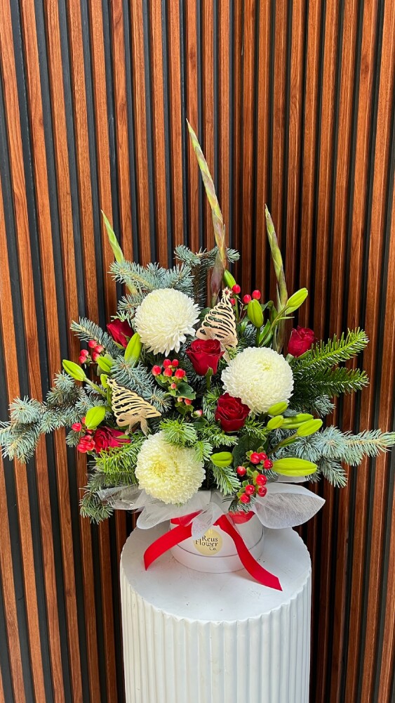 Santa`s Hat